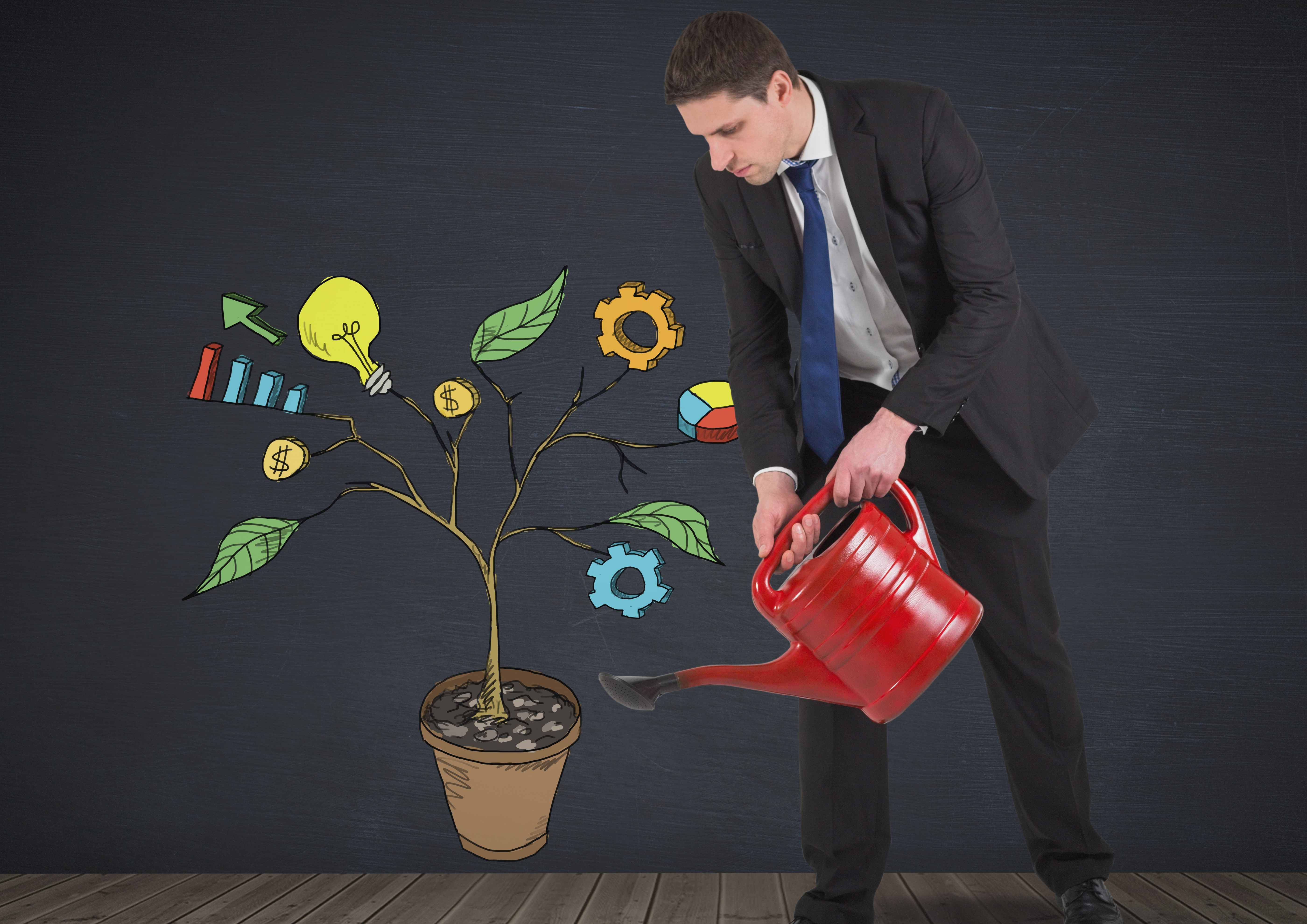 Практические советы для устойчивого роста