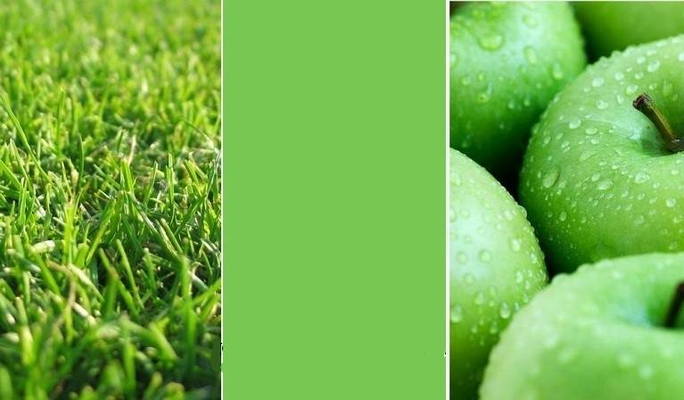 модные цвета весна лето 2016 фото