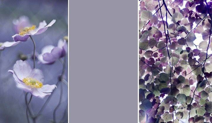 модные цвета в одежде весна лето 2016