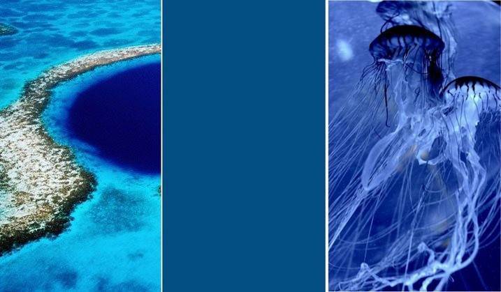 модные цвета весна лето 2016 фото